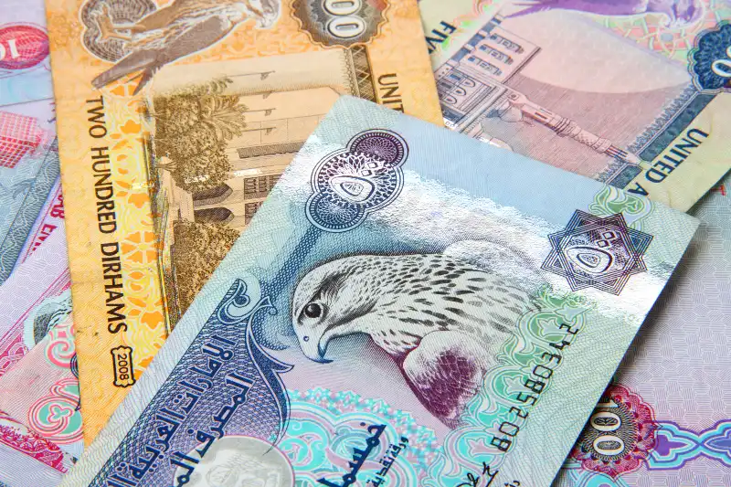 Dubai Currency UAE Dirham Banknotes