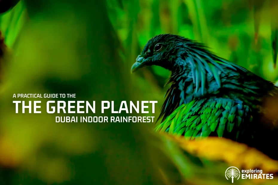 The Green Planet Dubai - Dubai Indoor Rainforest